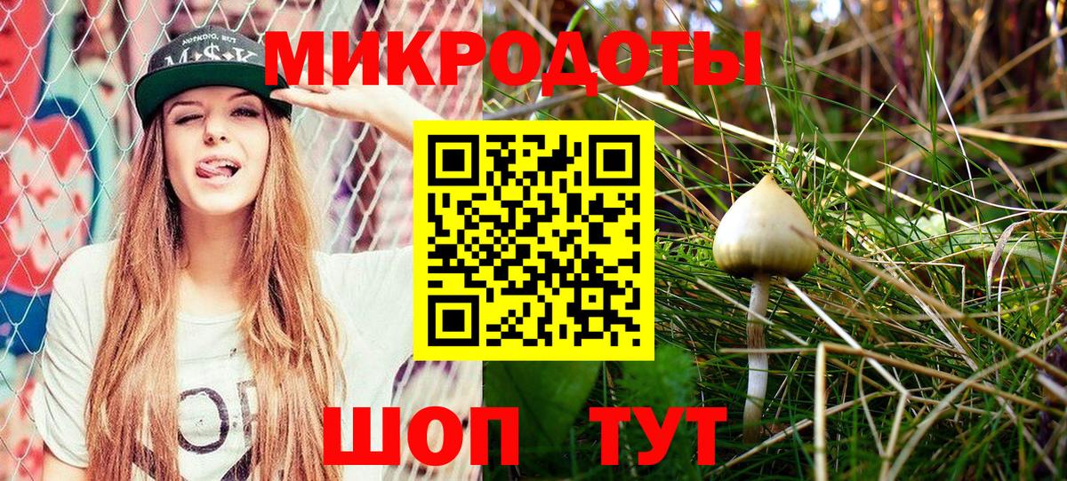 Благовещенск  Галлюциногенные грибы Psilocybe  Вход с VPN 